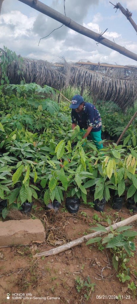 Tending the Nursery